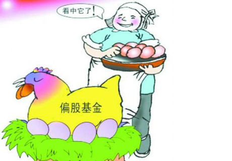 偏股基金.jpg